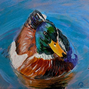 Erpel 1 (Verkauft/Sold)