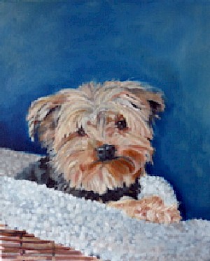 Amber (Verkauft/Sold)